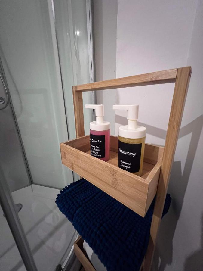 Charmant Appartement Climatise Aux Pieds De La Cite 카르카손 외부 사진